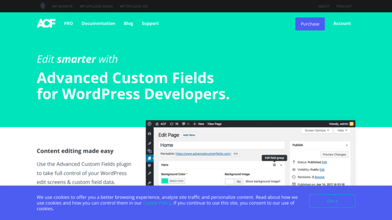 Advanced Custom Fields (Acf) Wordpress Plugin