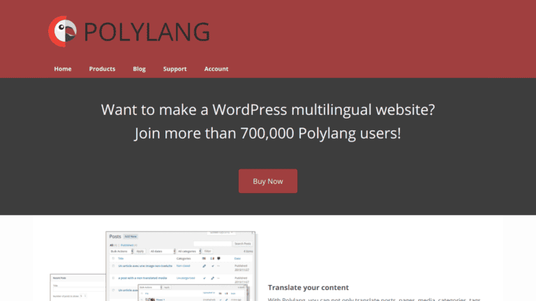 Polylang Wordpress Plugin