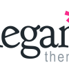 elegant-themes-logo-vector.png